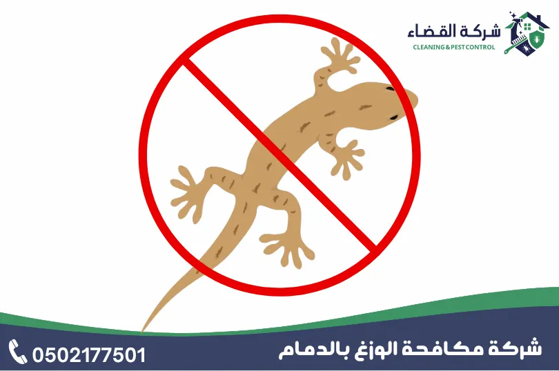 الأدوات والتقنيات المستخدمة في مكافحة الوزغ بالدمام