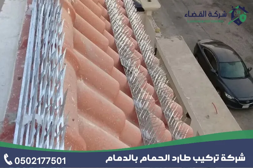 كيفية استئجار شركة تركيب طارد الحمام بالدمام