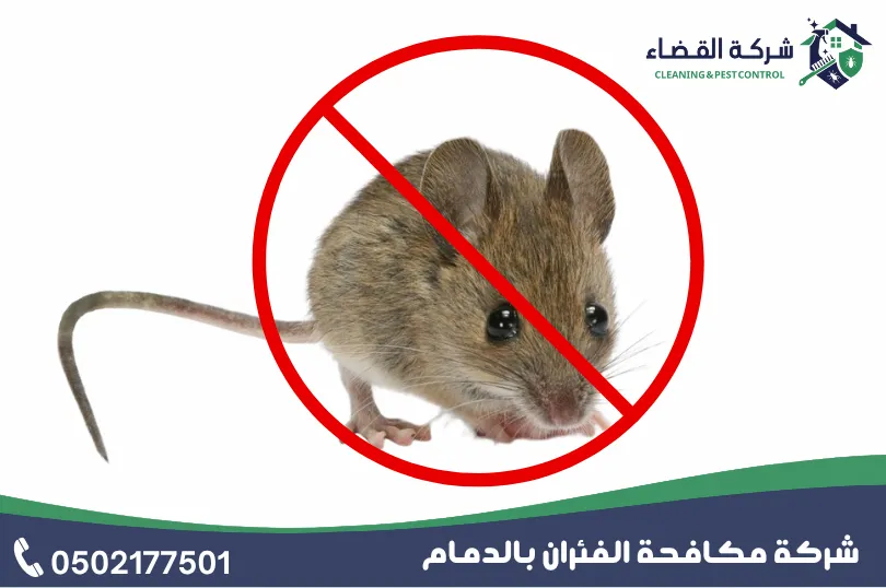 ما هي مميزات المبيدات التي تستخدمها شركة مكافحة الفئران بالدمام