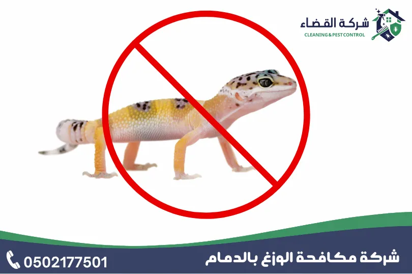 أهمية استئجار شركة مكافحة الوزغ بالدمام