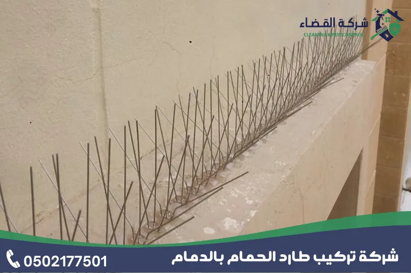 أهمية الاستعانة بأفضل شركة تركيب طارد الحمام بالدمام