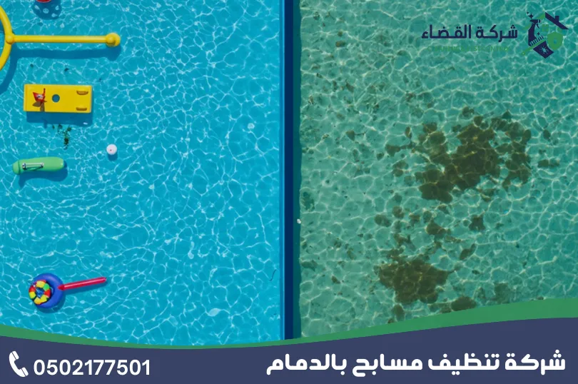 لماذا تعد القضاء أفضل شركة تنظيف مسابح بالدمام؟