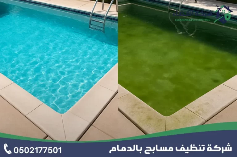 شركة تنظيف مسابح بالدمام