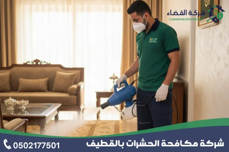 شركة مكافحة حشرات بالدمام
