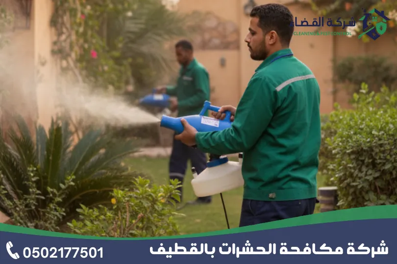 لماذا الاستعانة بي شركة مكافحة حشرات بالقطيف؟
