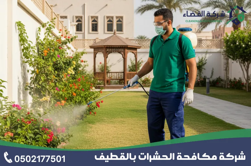 شركة مكافحة حشرات بالدمام 2 مميزات أفضل شركة مكافحة حشرات بالدمام