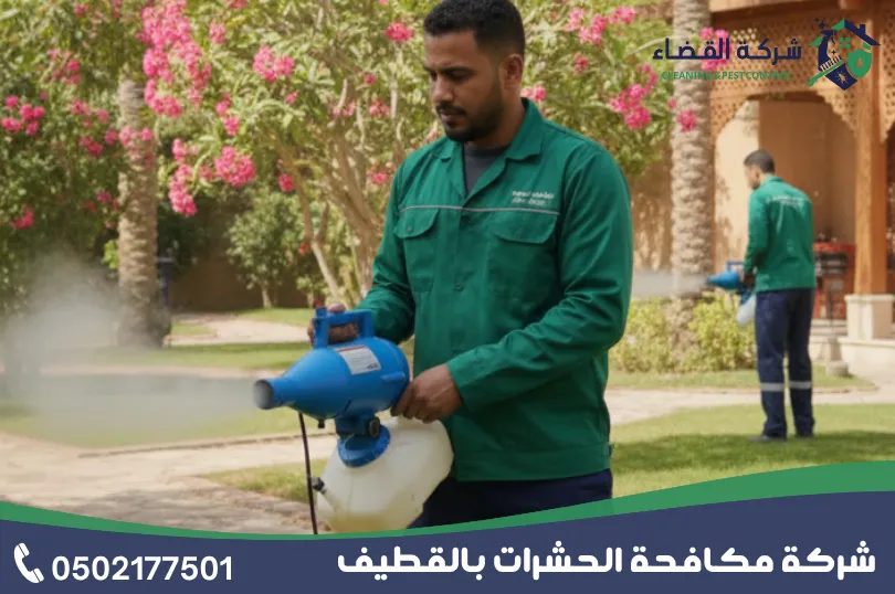 شركة مكافحة حشرات بالقطيف