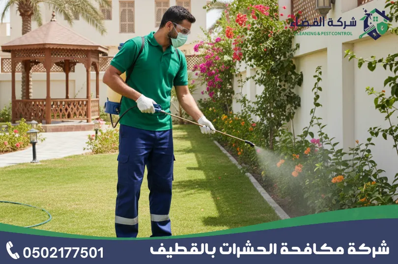 شركة مكافحة حشرات بالدمام 4 كيفية عمل شركة مكافحة الحشرات بالدمام